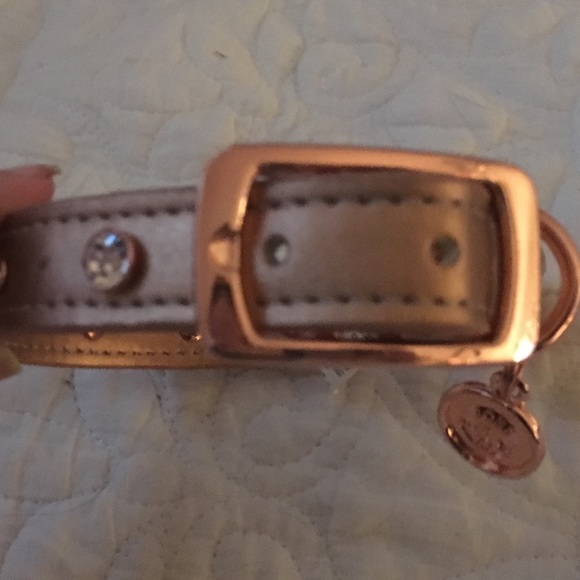 bond & co leather collar